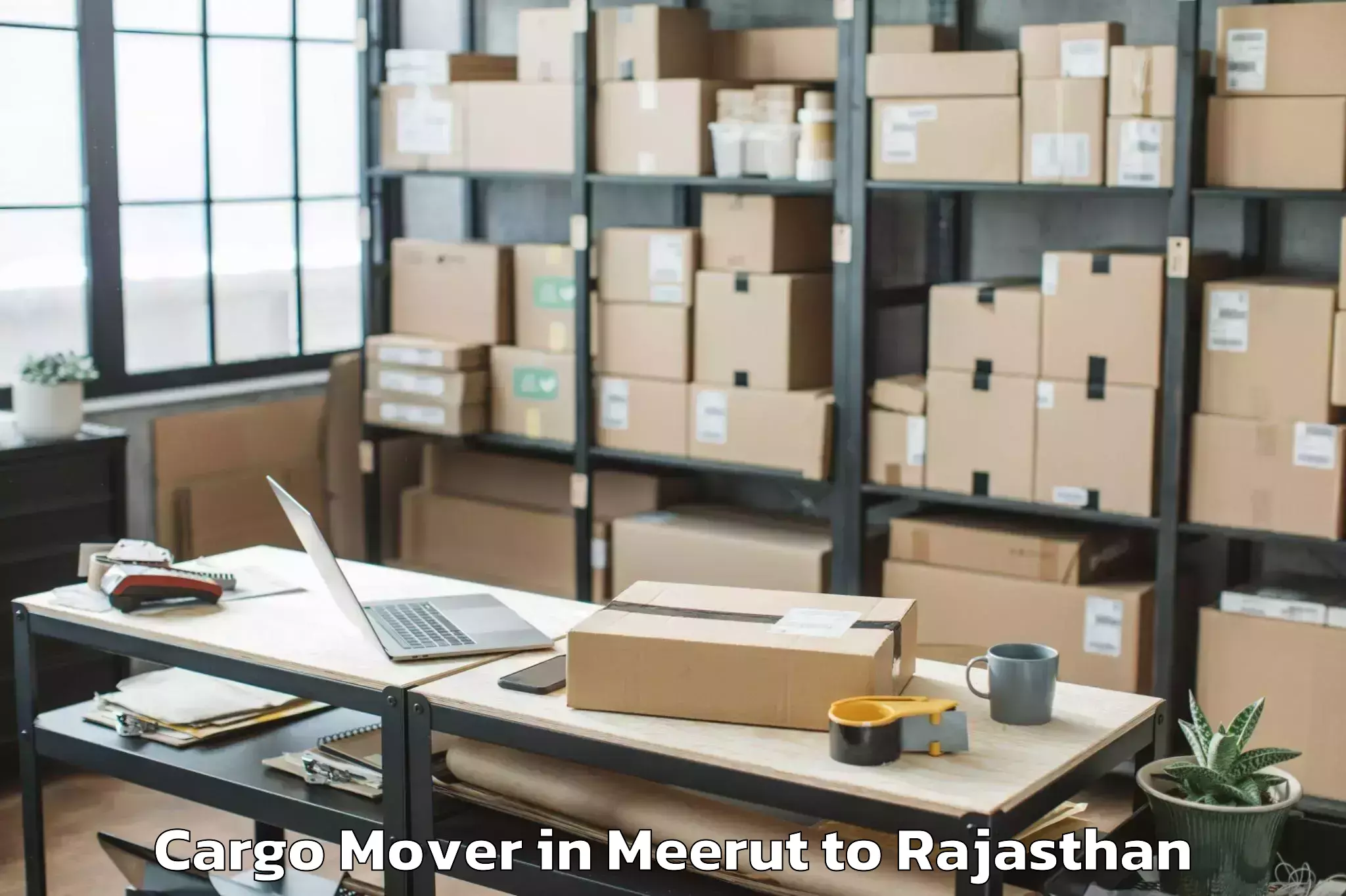 Leading Meerut to Deoli Cargo Mover Provider